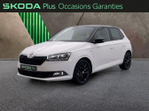 Skoda Fabia 1.0 TSI 95ch Clever DSG7 Euro6d-AP   ORVAULT 44