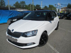 Skoda Fabia occasion Blanc année 2017 boite Manuelle Annonce Skoda Fabia occasion Diesel 1.4 TDI75 FAP BUSINESS PLUS GREENTEC à Toulouse