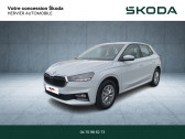 Skoda Fabia Fabia 1.0 TSI 95 ch EVO 2 BVM5   Bellerive-sur-Allier 03
