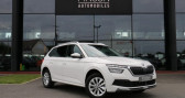 Skoda Kamiq 1.0 TSI - 110 - BV DSG7 Ambition   Cercottes 45