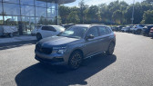 Skoda Kamiq 1.0 TSI EVO 2 116CH SELECTION DSG7   Albi 81