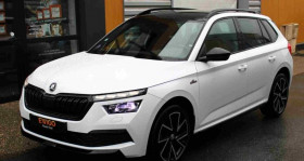 Skoda Kamiq , garage EWIGO ROUEN SUD � BELBEUF