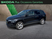 Skoda Karoq 2.0 TDI 116ch SCR Business DSG Euro6ap   Hazebrouck 59