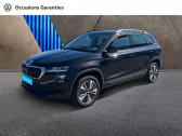 Skoda Karoq 2.0 TDI 116ch SCR Business   Hazebrouck 59