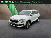 Annonce Skoda Karoq occasion Diesel 2.0 TDI 150ch SCR Selection 4x2 DSG7  AUBIERE
