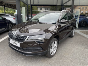 Skoda Karoq occasion 2020 mise en vente à Figeac par le garage FIGEAC AUTOMOBILES - photo n°1