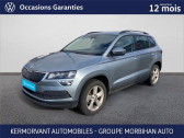 Annonce Skoda Karoq occasion Diesel Karoq 2.0 TDI 116 ch SCR Business  Auray