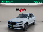 Skoda Karoq Karoq 2.0 TDI 116 ch SCR DSG7   Nevers 58