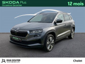 Skoda Karoq Karoq 2.0 TDI 116 ch SCR DSG7   CHOLET 49