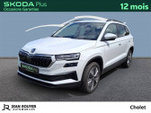 Skoda Karoq Karoq 2.0 TDI 116 ch SCR DSG7  2023 - annonce de voiture en vente sur Auto Sélection.com