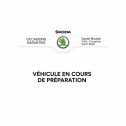 Skoda Karoq Karoq 2.0 TDI 116 ch SCR DSG7   Vitr 35