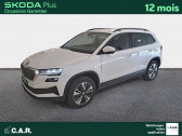 Skoda Karoq occasion année 2023 Annonce Skoda Karoq occasion Diesel Karoq 2.0 TDI 116 ch SCR DSG7 à Angoulins