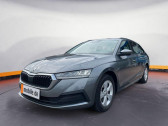 Skoda Octavia Combi 2.0 TDI 116 ch BVA   L'Union 31