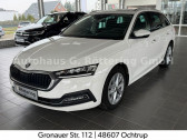 Skoda Octavia Combi 2.0 TDI 116 ch BVM   L'Union 31
