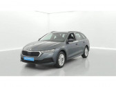 Skoda Octavia Combi occasion année 2021 boite Manuelle Annonce Skoda Octavia Combi occasion Diesel Combi 2.0 TDI 116 ch Business à CHERBOURG-EN-COTENTIN