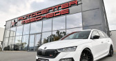 Skoda Octavia Combi RS 2.0 TSI DSG Columbus   Meschede 59