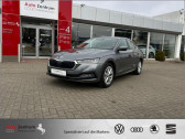Annonce Skoda Octavia occasion Essence 1.0 TSI mHEV 110 ch BVA � L'Union
