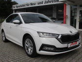 Skoda Octavia 2.0 TDI 116 ch BVM   L'Union 31