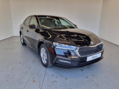 Skoda Octavia occasion année 2023 boite Manuelle Annonce Skoda Octavia occasion Diesel 2.0 TDI 116ch Business à HOENHEIM