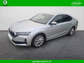 Skoda Octavia , garage genin automobiles route chabeuil  Valence