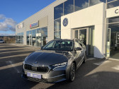 Annonce Skoda Octavia occasion Diesel Octavia Combi 2.0 TDI 150 ch SCR DSG7 Selection 5p � Mende