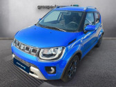 Annonce Suzuki Ignis occasion Hybride 1.2 Dualjet Hybrid 83ch Privil�ge � Arnage
