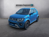 Annonce Suzuki Ignis occasion Hybride 1.2 Dualjet Hybrid 83ch Privilge  Bernay