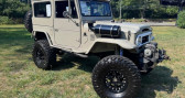 Annonce Toyota Land Cruiser occasion Essence   LYON
