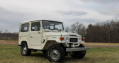 Annonce Toyota Land Cruiser occasion Essence   LYON