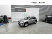 Annonce Toyota RAV 4 occasion Essence Hybride Pro 218 ch 2WD Dynamic Business  Tulle