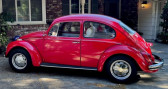 Annonce Volkswagen Beetle occasion Essence - Classic à LYON