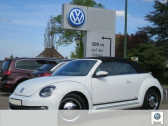 Volkswagen Beetle occasion année 2014 boite Manuelle Annonce Volkswagen Beetle occasion Diesel 1.6 TDI 105 à Beaupuy