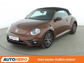 Annonce Volkswagen Coccinelle occasion Essence 1.2 TSI 105 BMT BVA � L'Union