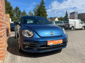 Annonce Volkswagen Coccinelle occasion Essence 1.2 TSI 105 BMT BVM � L'Union