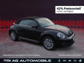 Annonce Volkswagen Coccinelle occasion Essence 1.2 TSI 105 BMT BVM � L'Union