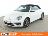 Annonce Volkswagen Coccinelle occasion Essence 1.2 TSI 105 BMT BVM � L'Union