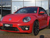Annonce Volkswagen Coccinelle occasion Essence 1.4 TSI 150 BMT BVM � L'Union
