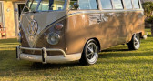Annonce Volkswagen Combi occasion Essence T1 Replica Samba 23 Fentres  Mr
